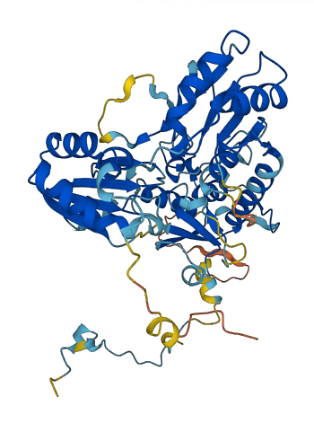 DPH2 3D structure