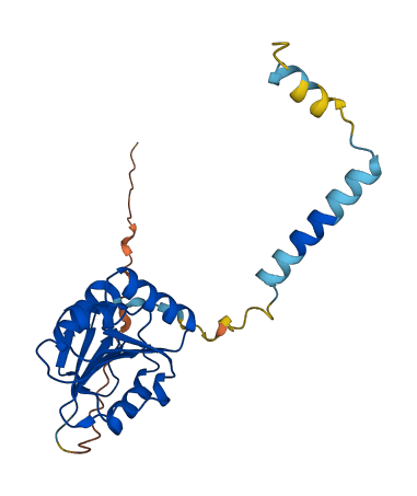 ANTKMT 3D structure