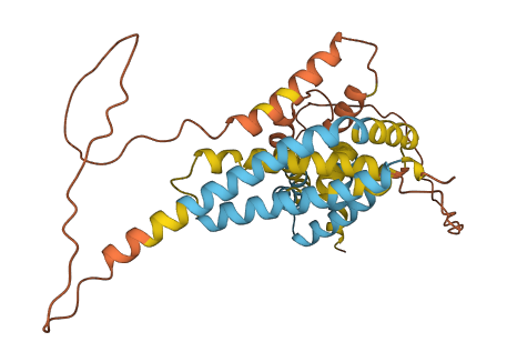 APOL2 3D structure