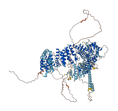 MYBBP1A 3D structure