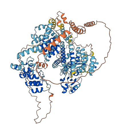 SLF1 3D structure