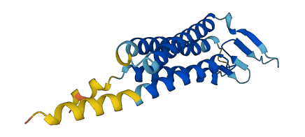 TMEM47 3D structure