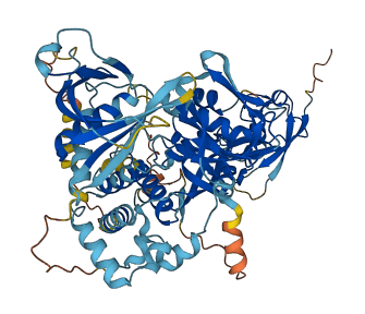 FERMT1 3D structure