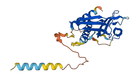 RTP3 3D structure