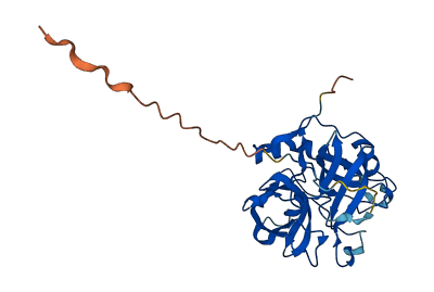 PRSS27 3D structure