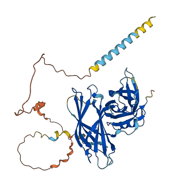 SYT15 3D structure
