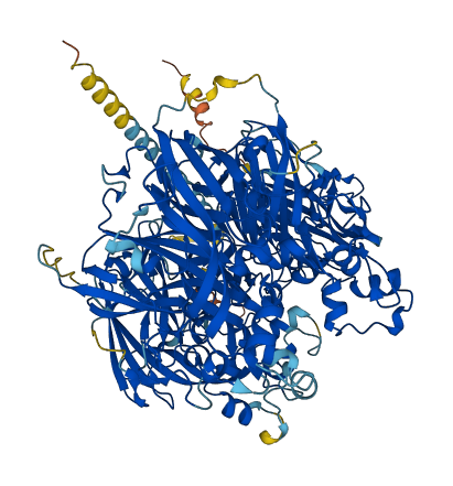 HEPH 3D structure
