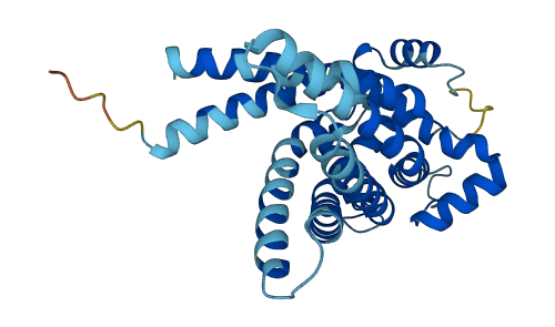 SLC25A21 3D structure