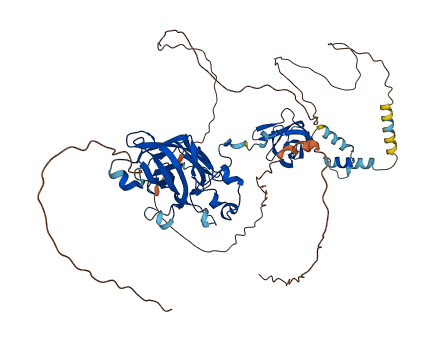 EBF4 3D structure