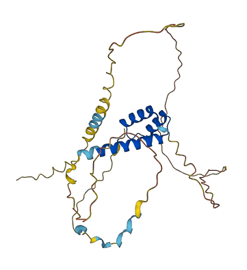 RHOXF2 3D structure