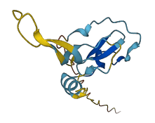 WFDC6 3D structure
