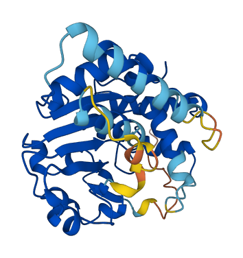 SULT4A1 3D structure