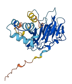 NEURL2 3D structure