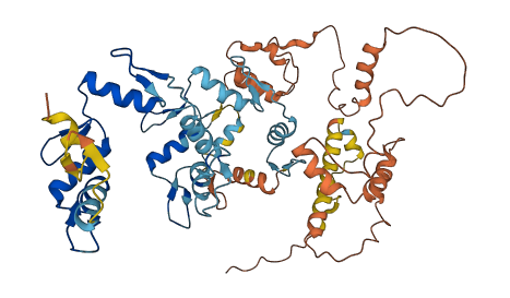 ZNF559 3D structure