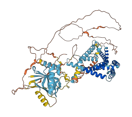 PIGQ 3D structure