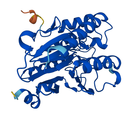 CPPED1 3D structure