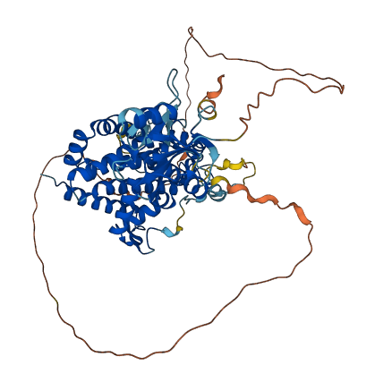 SH2D3A 3D structure