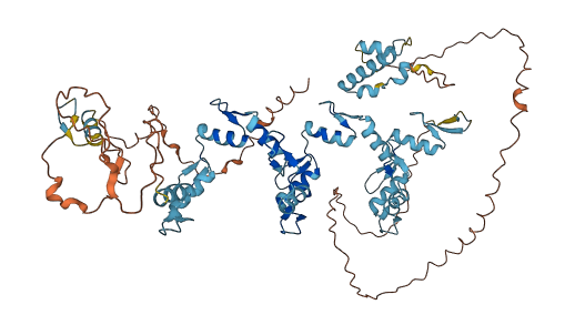 ZNF251 3D structure