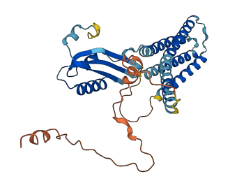 SLC30A2 3D structure