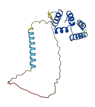 C7orf50 3D structure