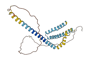 REEP2 3D structure