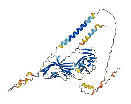 MXRA8 3D structure