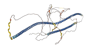 LZTS2 3D structure