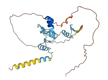 OVOL2 3D structure