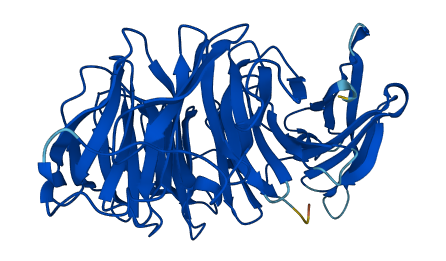 PAAF1 3D structure