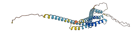 ORAI3 3D structure
