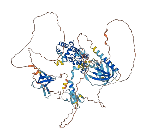 ARHGAP9 3D structure