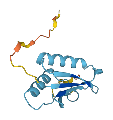 MIEN1 3D structure