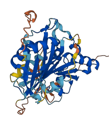 CBWD1 3D structure