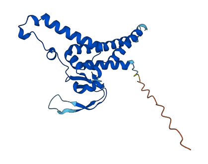 GINS4 3D structure