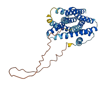 SLC39A3 3D structure