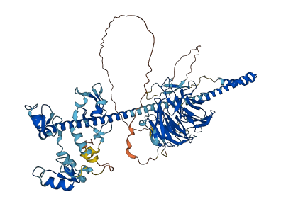 TRIM56 3D structure
