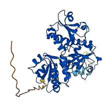 ERP44 3D structure