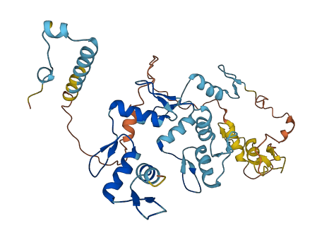 ZNF670 3D structure