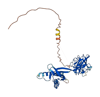 ZPBP 3D structure