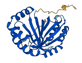 NIPSNAP3B 3D structure