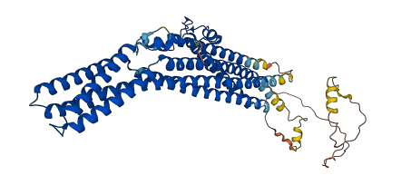 TTYH2 3D structure