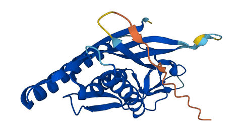 ATG101 3D structure