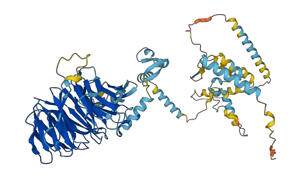 NOL10 3D structure