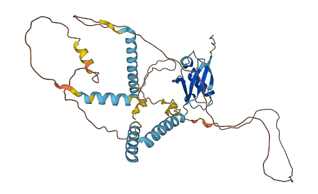 HERPUD2 3D structure