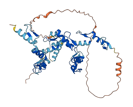 ZNF2 3D structure