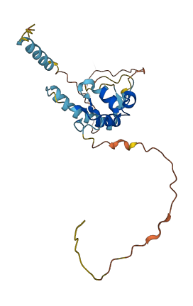 RTBDN 3D structure