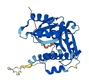 TACO1 3D structure