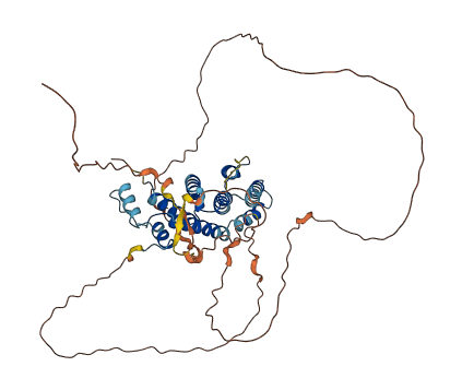 TINF2 3D structure