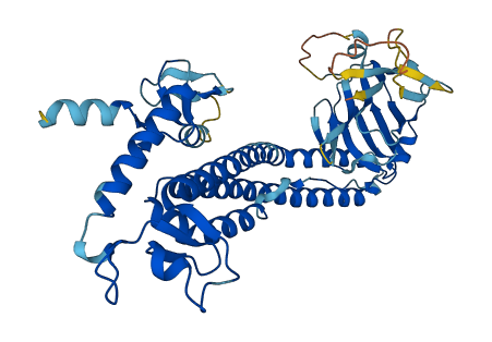 TRIM51 3D structure