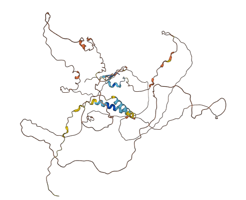 C17orf80 3D structure